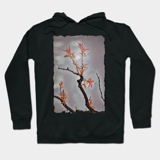 Crepe Myrtle In Autumn Hoodie